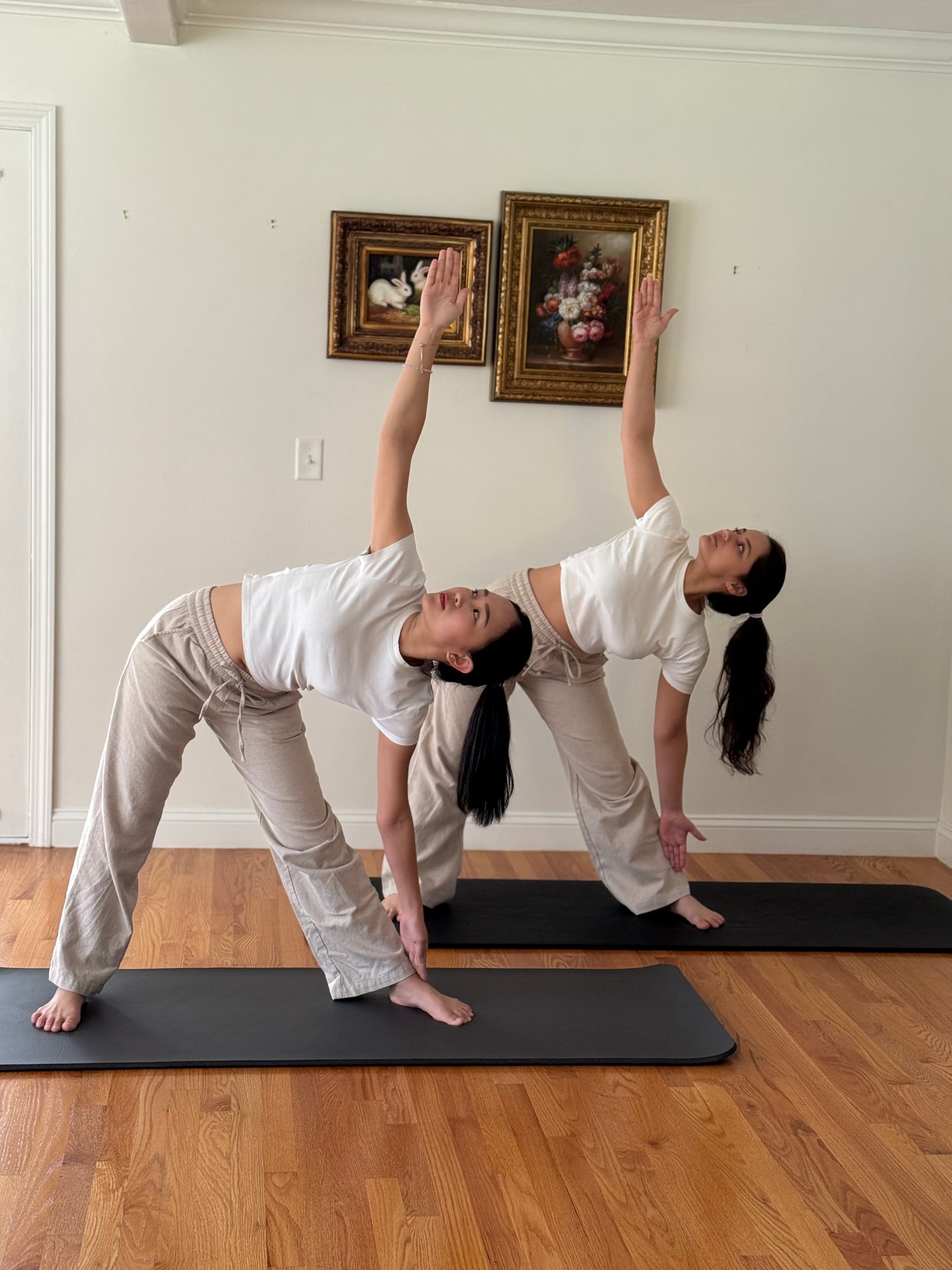 Move &amp; Melt Collection